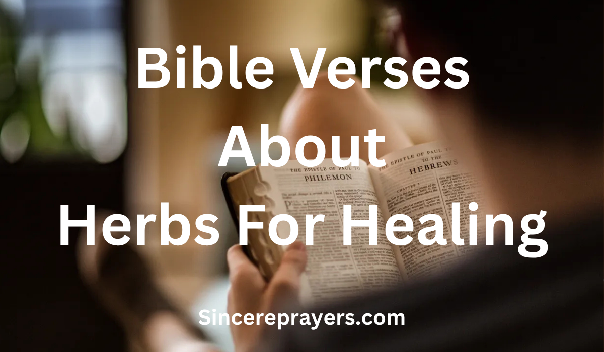 35 Powerful Bible Verses About Herbs For Healing