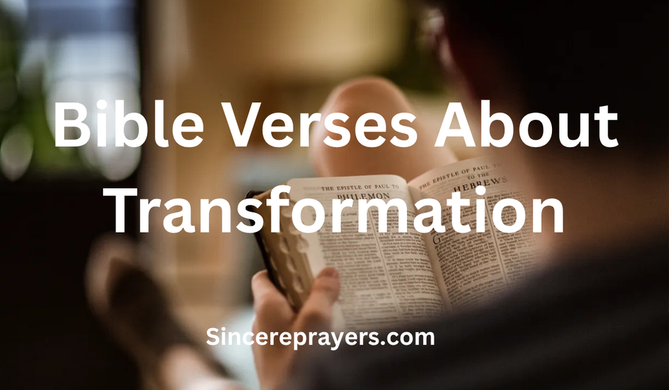  Bible Verses About Transformation