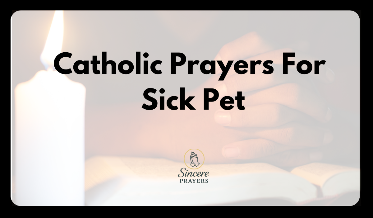40 Most Effective Catholic Prayers For Sick Pet