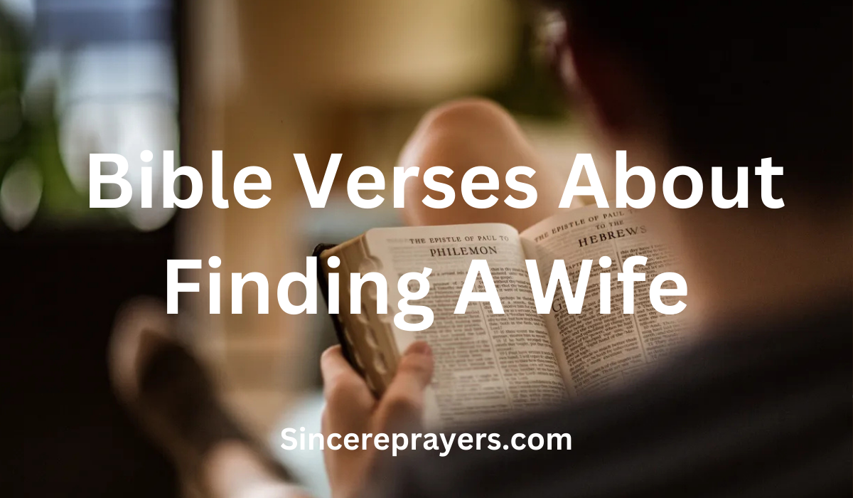 35 Beautiful Bible Verses About Finding A Wife