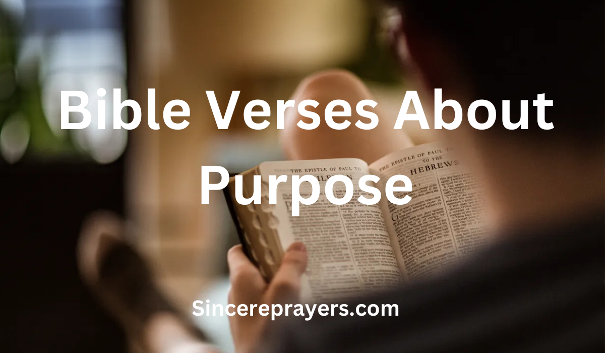 35 Most Effective Bible Verses About Purpose