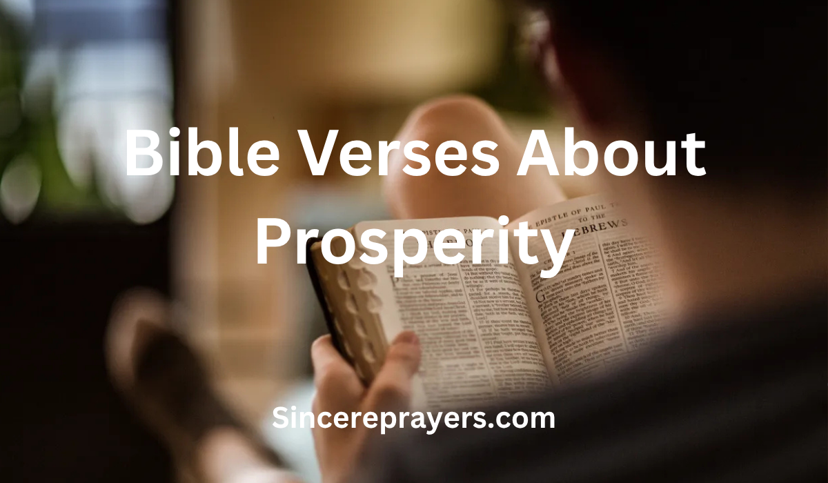 35 Uplifting Bible Verses About Prosperity