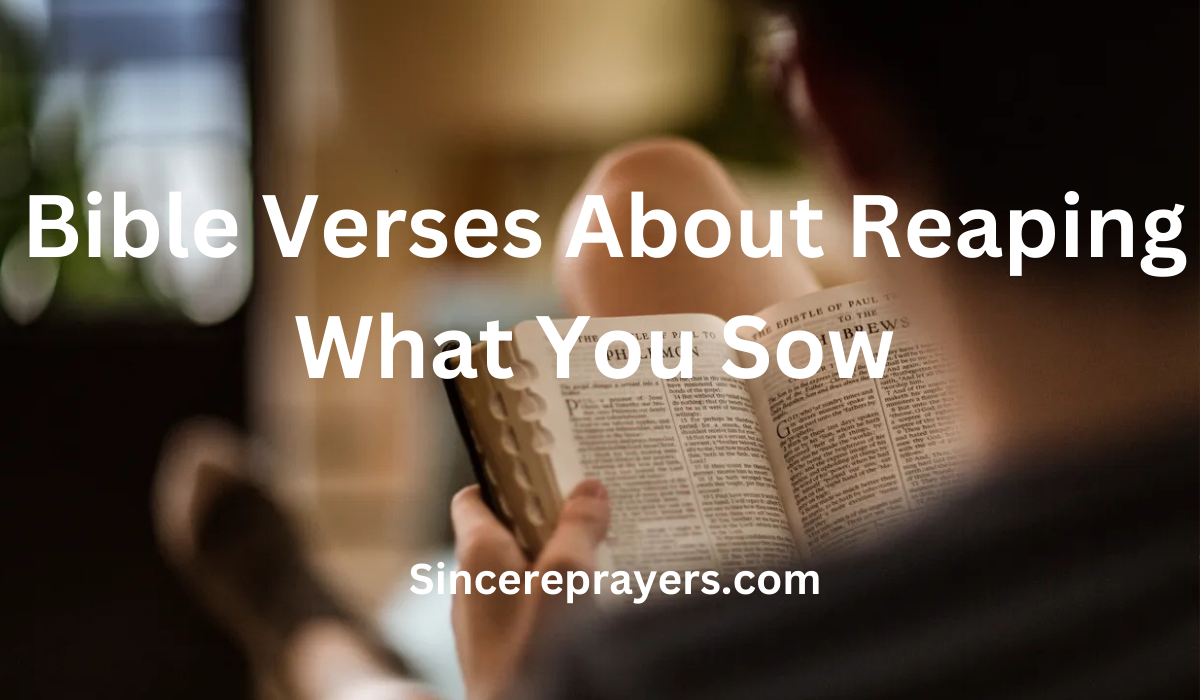 35 Powerful Bible Verses About Reaping What You Sow