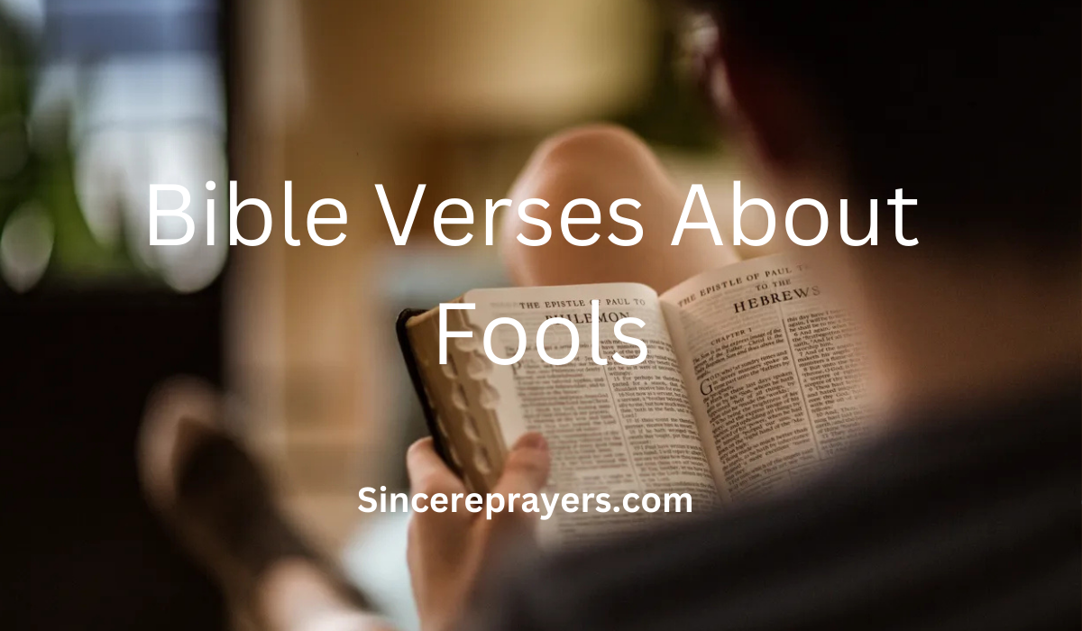 35 Powerful Bible Verses About Fools
