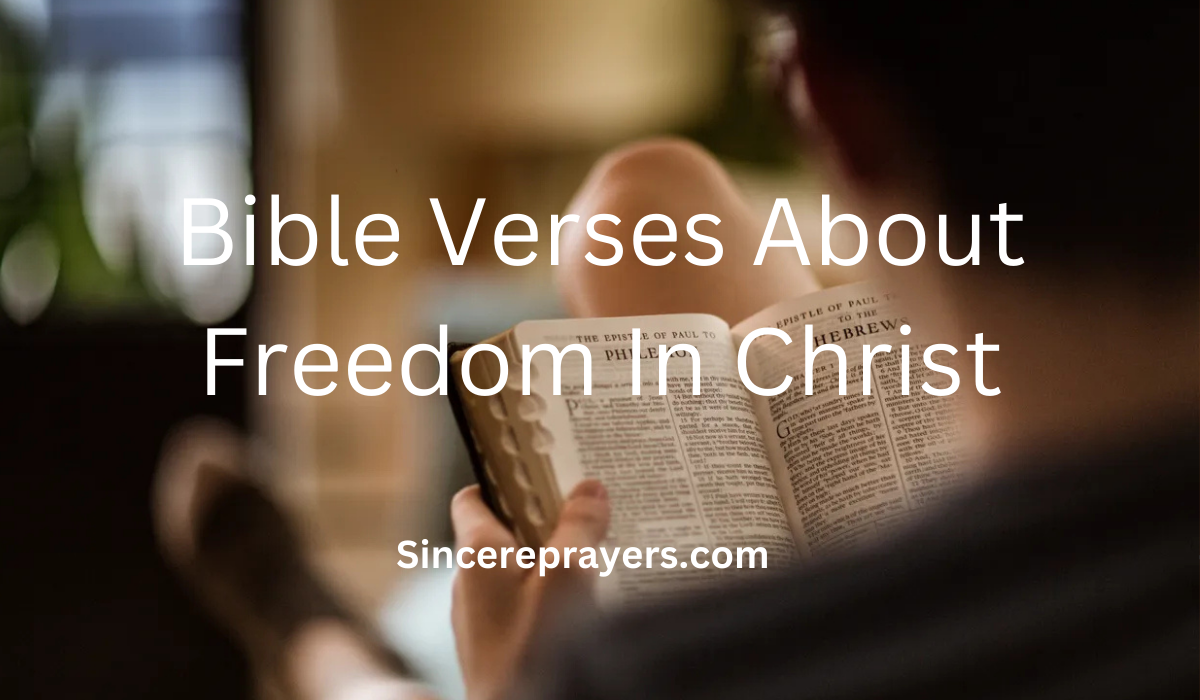 35 Most Powerful Bible Verses About Freedom In Christ