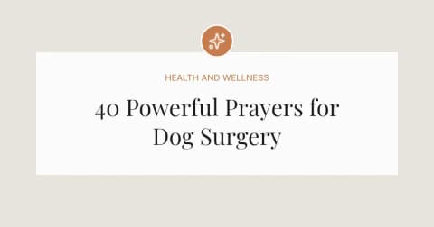 40 Powerful Prayers for Dog Surgery