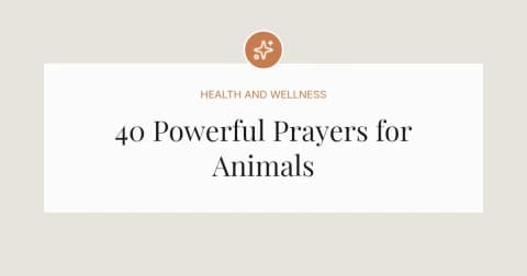 40 Powerful Prayers for Animals