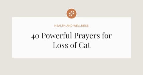 40 Powerful Prayers for Loss of Cat