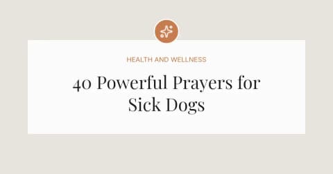 40 Powerful Prayers for Sick Dogs