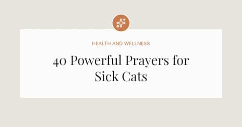 40 Powerful Prayers for Sick Cats
