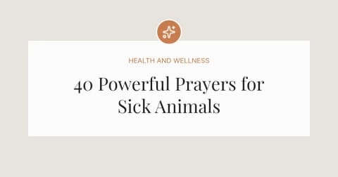 40 Powerful Prayers for Sick Animals