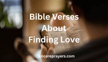Bible Verses About Finding Love