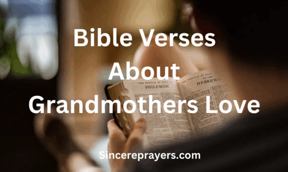 Bible Verses About Grandmothers Love