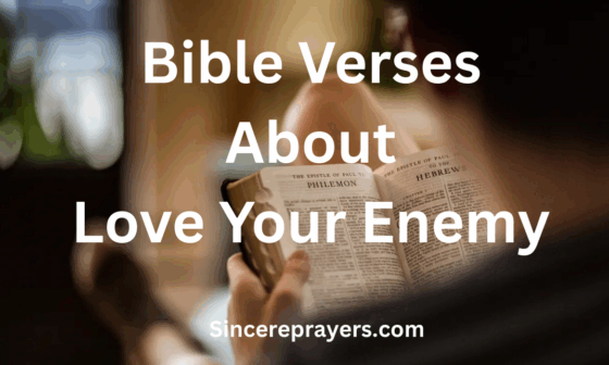 Bible Verses About Love Your Enemy