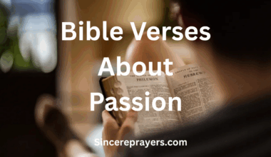 Bible Verses About Passion