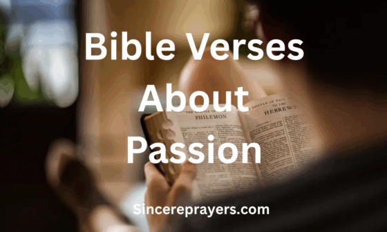 Bible Verses About Passion