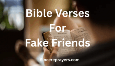 Bible Verses For Fake Friends