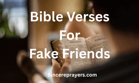 Bible Verses For Fake Friends