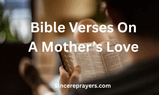 Bible Verses On A Mother's Love