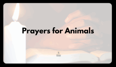 St. Francis Prayers for Animals