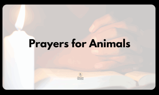St. Francis Prayers for Animals