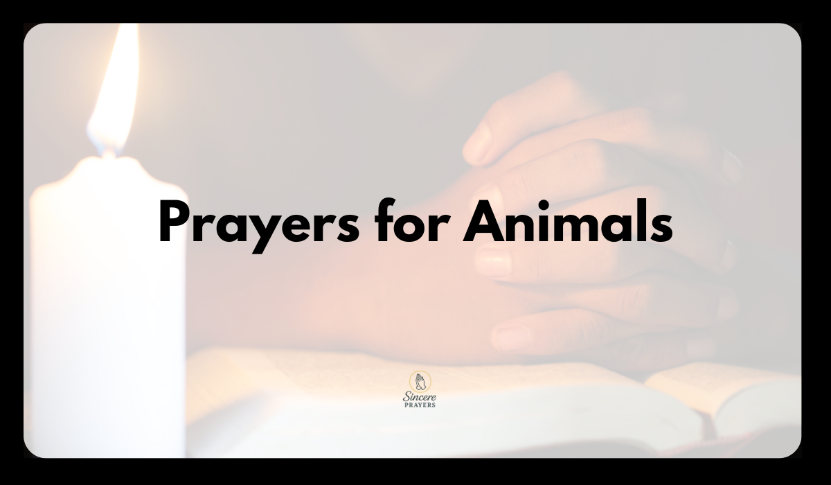 St. Francis Prayers for Animals