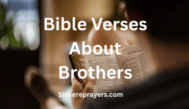 Bible Verses About Brothers