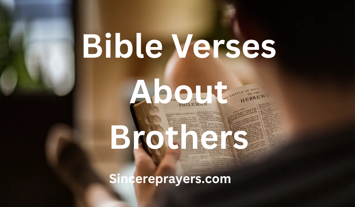 Bible Verses About Brothers