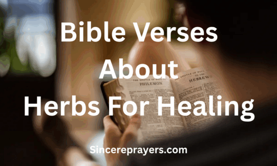 Bible Verses About Herbs For Healing