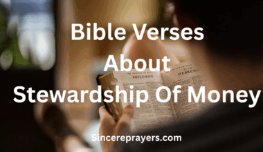 Bible Verses About Stewardship Of Money