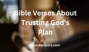 Bible Verses About Trusting God's Plan