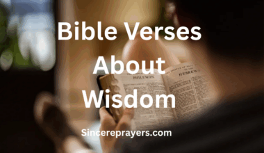 Bible Verses About Wisdom
