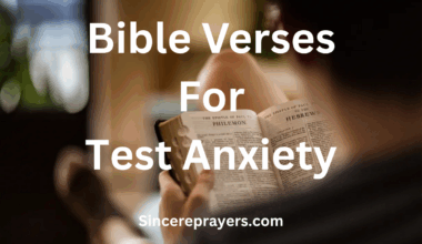 Bible Verses For Test Anxiety