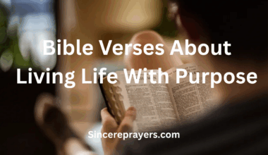 Bible Veses About Living Life With Purpose