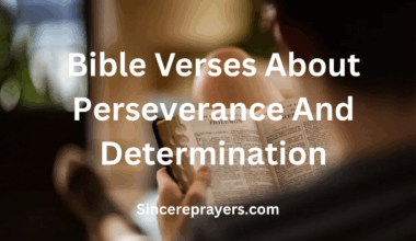 Bible Verses About Perseverance And Determination