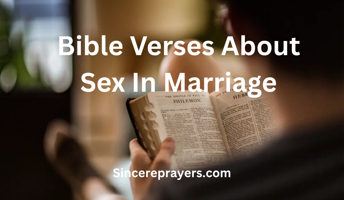 Bible Verses About Sex In Marriage