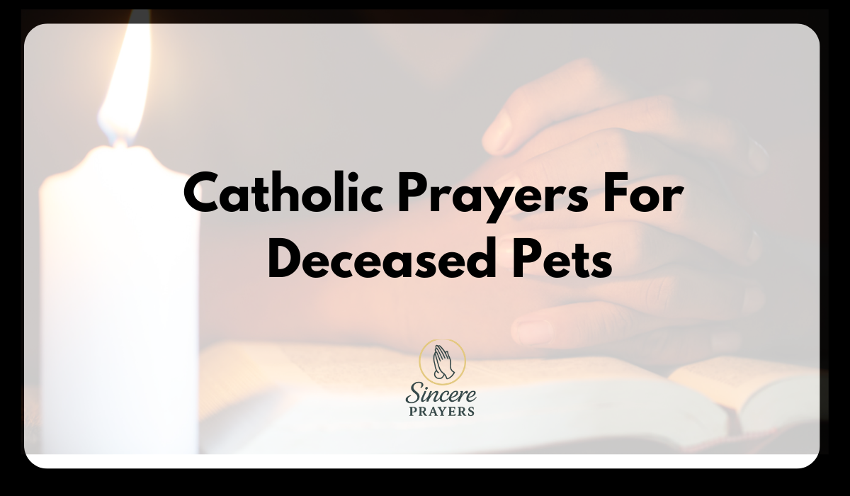 Catholic Prayers For Deceased Pets