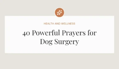 40 Powerful Prayers for Dog Surgery