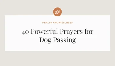 40 Powerful Prayers for Dog Passing