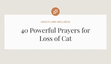 40 Powerful Prayers for Loss of Cat